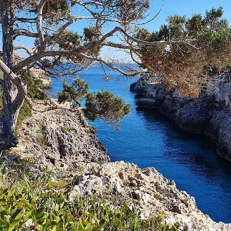 Sirena Holiday home